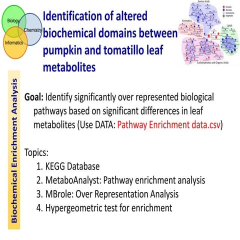6  metabolite enrichment analysis
