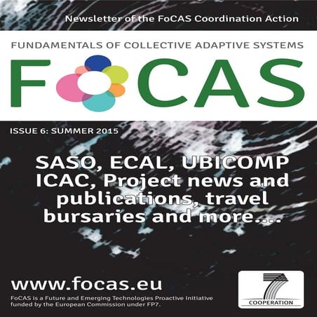 FoCAS Newsletter Issue Six