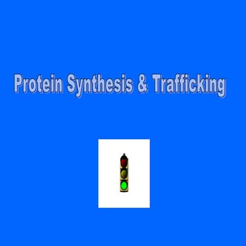 6 - Protein Synthesis and Tracking 