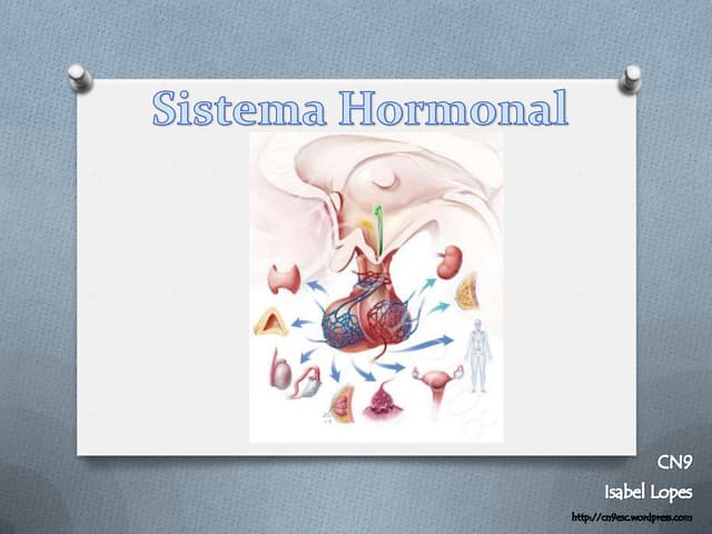 sistema hormonal