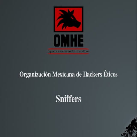 Hacking utilizando sniffers para interceptar el tráfico. OMHE