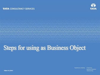 6.steps for using as business object