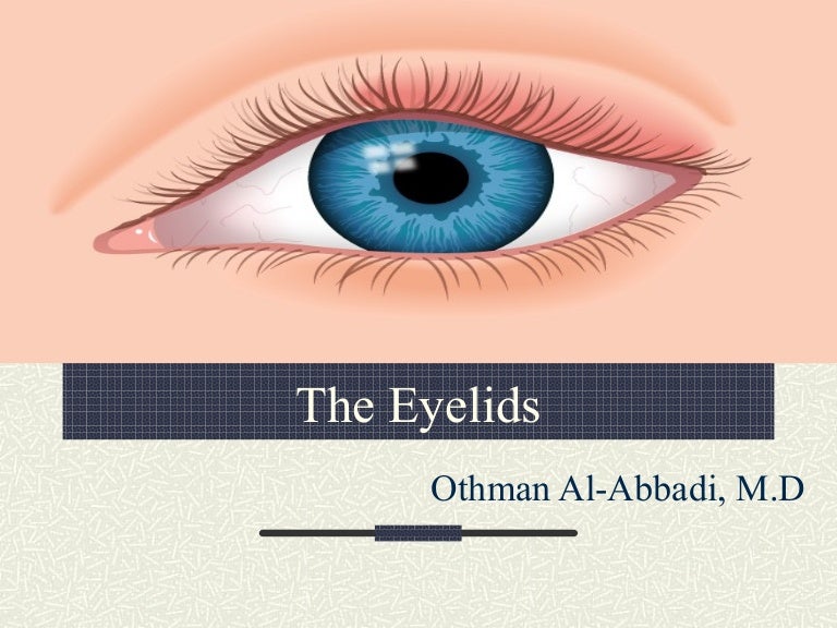 Eyelids