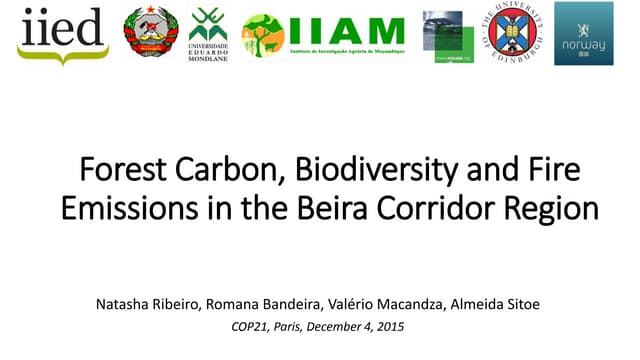 Forest carbon, biodiversity and fir...