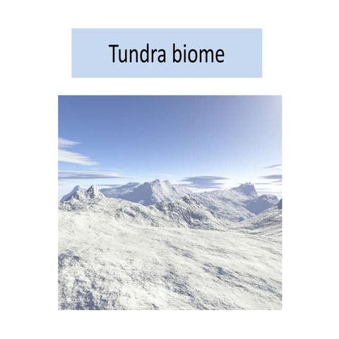 6 tundra biome