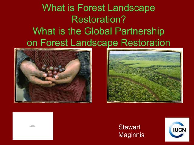 What is Forest Landscape Restoration? What is the Global Partnership on Forest Landscape Restoration?