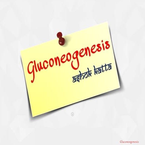 Gluconeogenesis - 