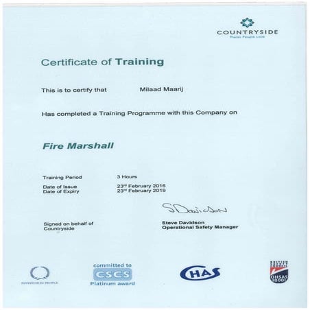SMSTS Certificate | PDF