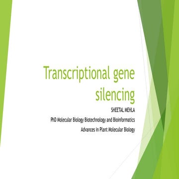 transcriptional gene silencing