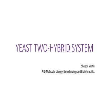 yeast two hybrid system