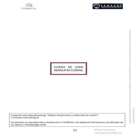 Curso Generalidades de lean manufacturing | PDF