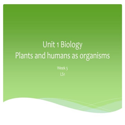 604666914-Science-year-7-Cambridge-presentation-powerpoint-Unit-1-part-2.pptx