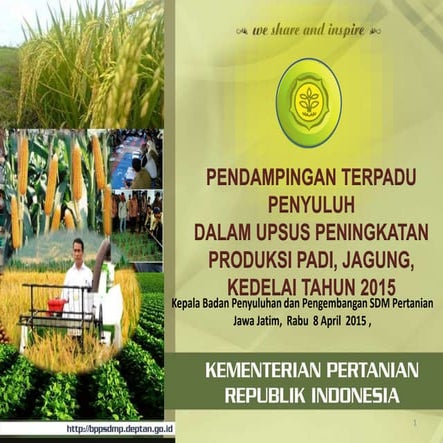 Pendampingan penyuluh dalam mendukung upsus jatim       080415