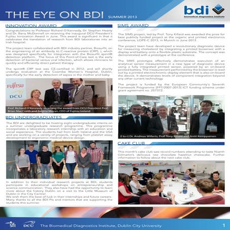 summer_eye_on_bdi 2013