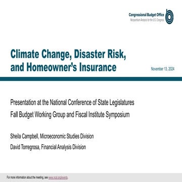 Disaster assistance fema + Update | PDF