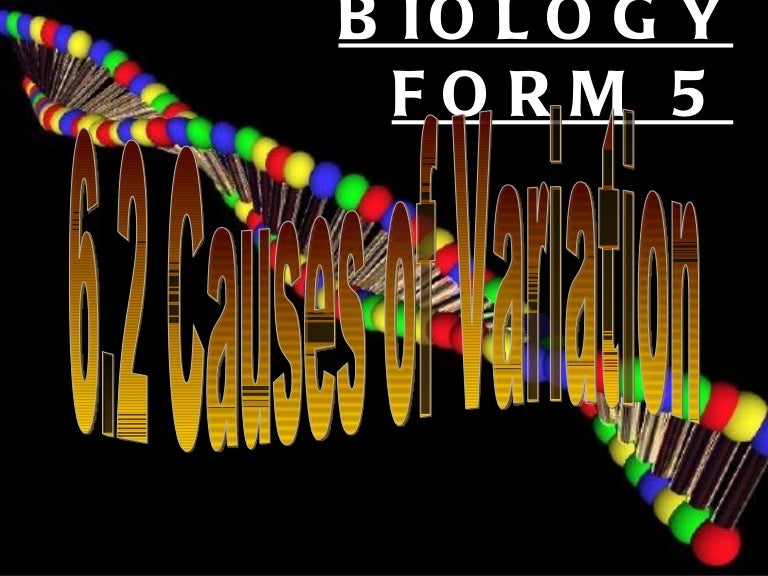 6-1-2-form-5