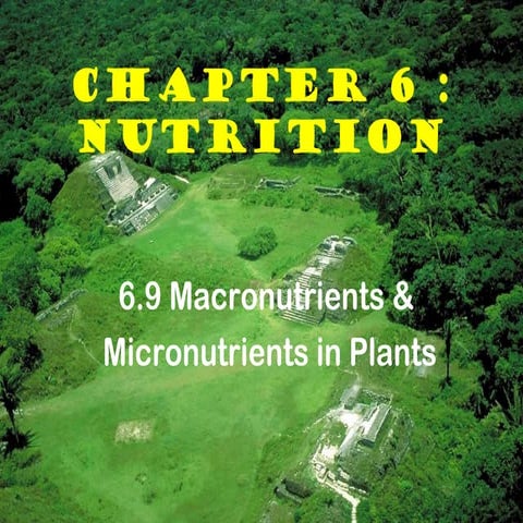 6[1].9 macro & micronutrients in plants