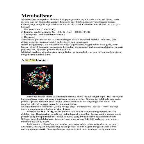 6108825 metabolisme