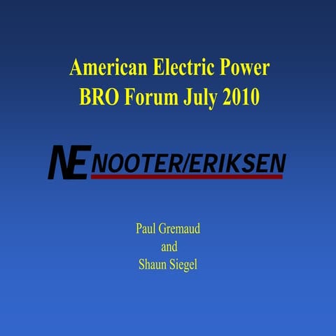 61677859-Nooter-Eriksen-Presentation-2.pdf