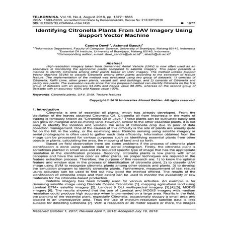 Identifying Citronella Plants From UAV Imagery Using Support Vector Machine