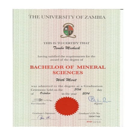 Bachelor's Degree | PDF