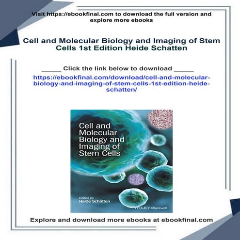 Cell and Molecular Biology and Imaging of Stem Cells 1st Edition Heide ...