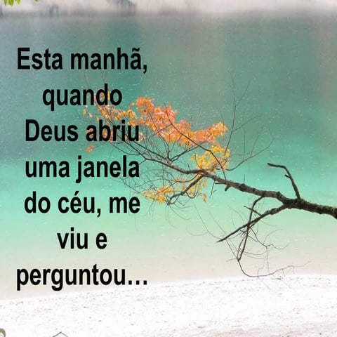 61989 hoje 19-e_40-3