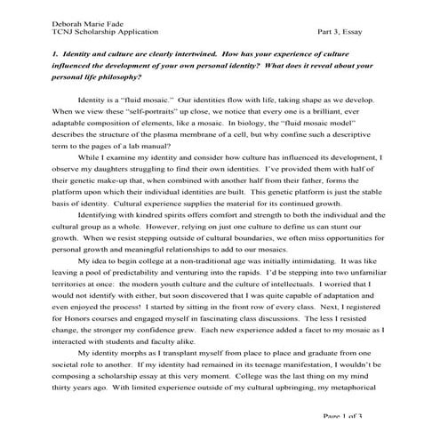 TCNJ Scholarship Main Essay