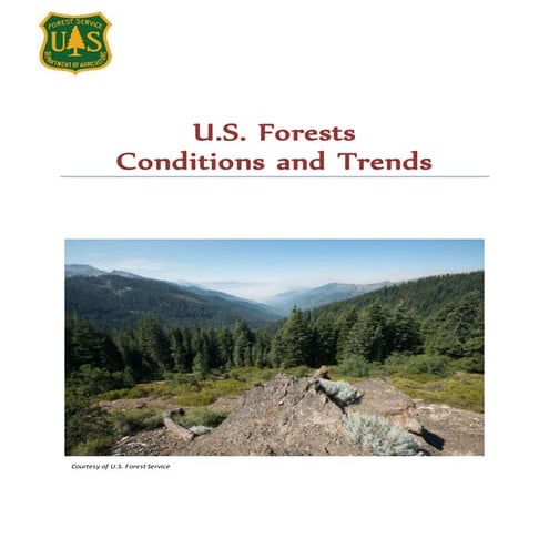 Forest Brochure | DOCX