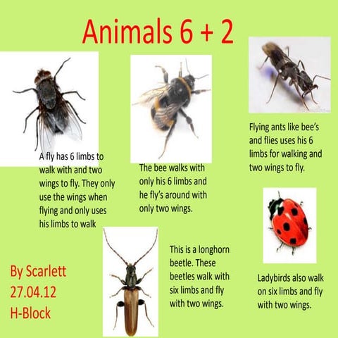 6+2