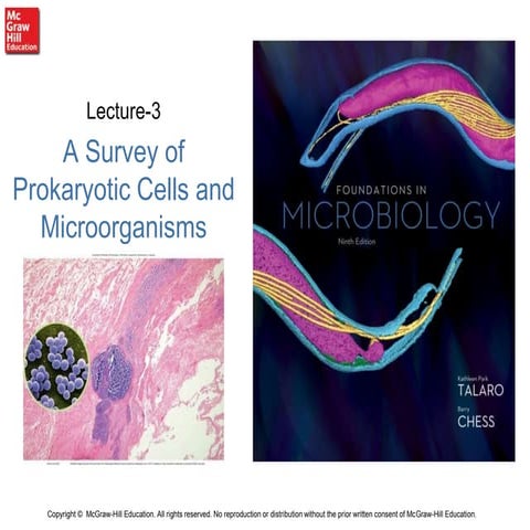 A Survey of Prokaryotic Cells of Microorganisms | MicroPara