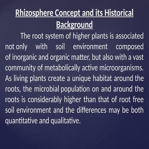 rhizosphere6_2020_02_23!09_40_19_PM.pptx