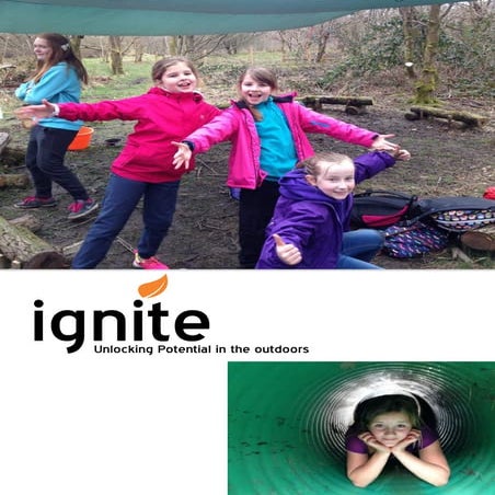 Ignite Brochure | PDF