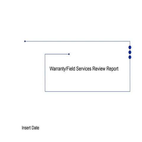 62493024-Wld-Services-Review-Final-Report.ppt