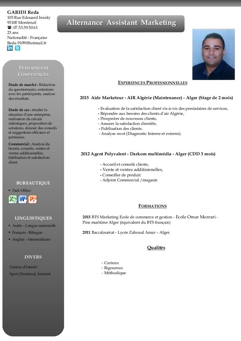 Resume summary examples picture