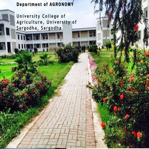 Instrumental Methods to measure the Soil Moisture