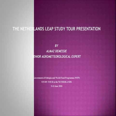 The Netherland's LEAP Study Tour 2