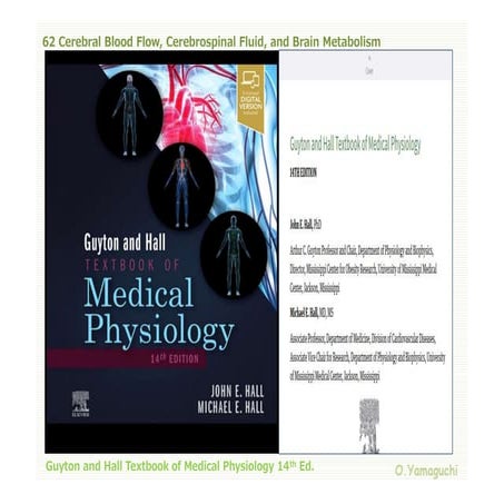 62 cerebral blood flow,cerebrospinal fluid,and brain metabolism | PDF