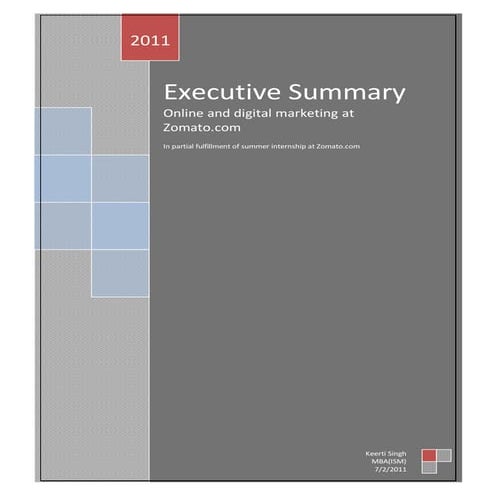 63156677 zomato-com-report