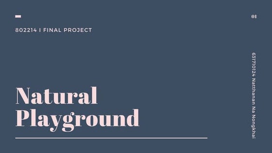 Survey Project Cmu 1 Pdf