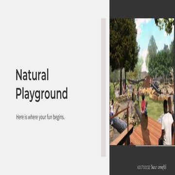 landscape survey | PDF
