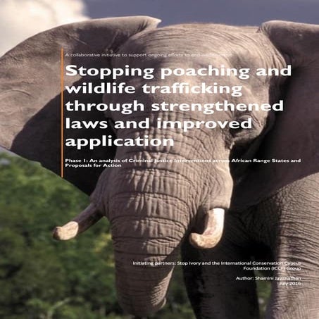 World Wildlife Crime Report 2024 - Introduction | PDF