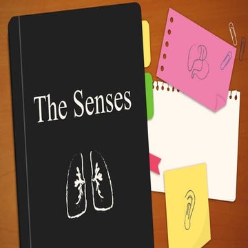 632236107-The-senses-Taste-Smell-Touch.pdf