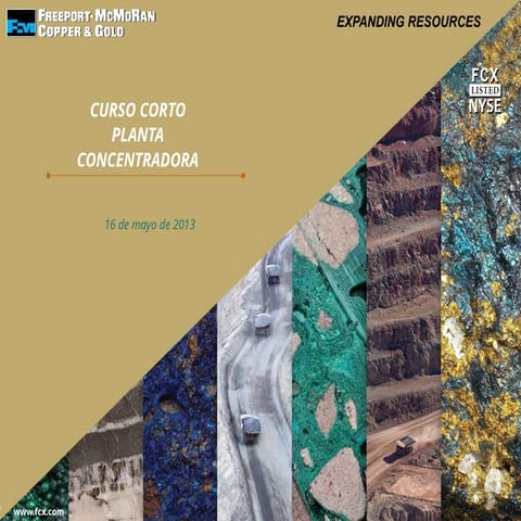 Curso Corto de PLANTA CONCENTRADORA FREEPORT | PPTX