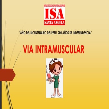 Via intramuscular | PDF
