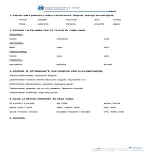 Examen Lengua 5º - Temas 8 y 9