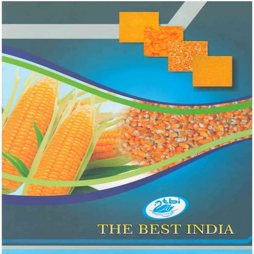 Corn Flakes Are Manufacturing Using High Quality Materials | PDF