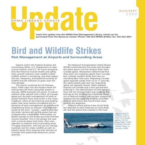 Pest Management at Airports