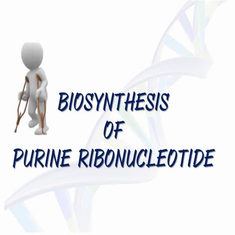 Biosynthesis of Purine Ribonucleotide, Gout