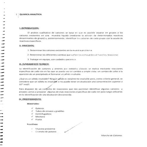 64254209 marcha-de-cationes